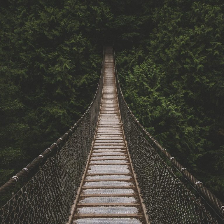 Der Weg der Veränderung ist wie der Gang über eine Brücke zu einer anderen Seite, bei dem man neue Strukturen und Denkweisen versteht.